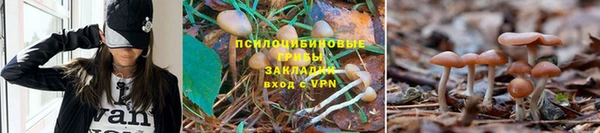 МДПВ Вязники